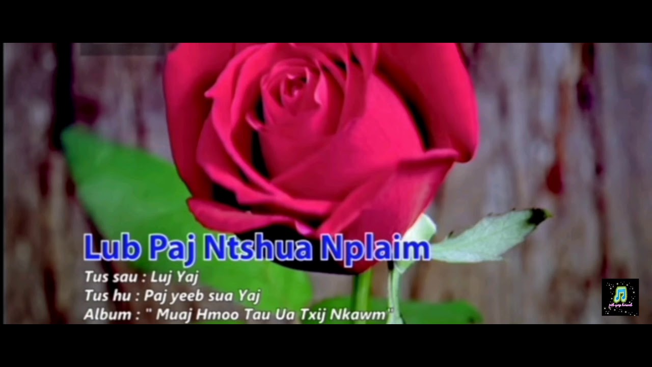 Lub Paj Ntshua Nplaim ม้งแปลไทย ดอกกุหลาบแดง