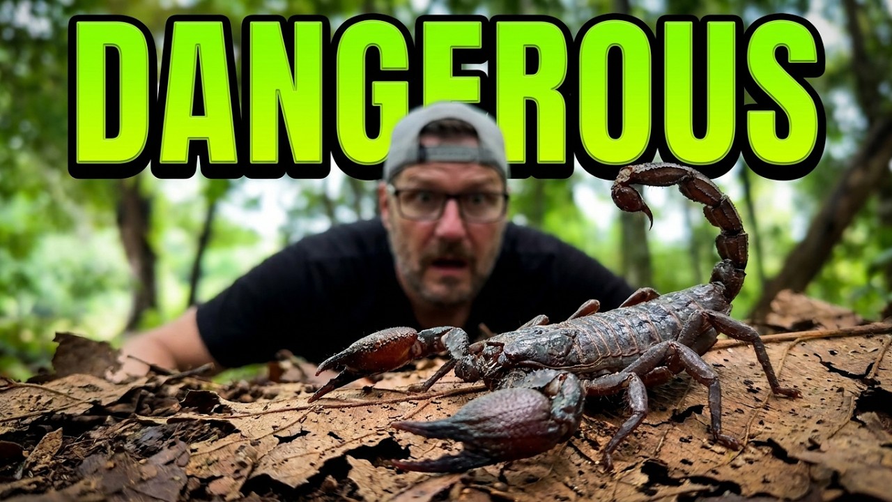 Scorpions and Slippers? Panganderan Indonesia Scooter Touring!