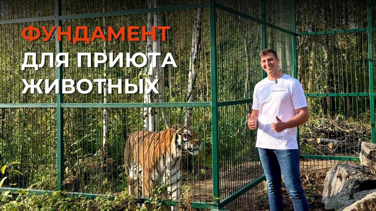 Свайный фундамент для приюта животных / Дом Тигра - Tiger House