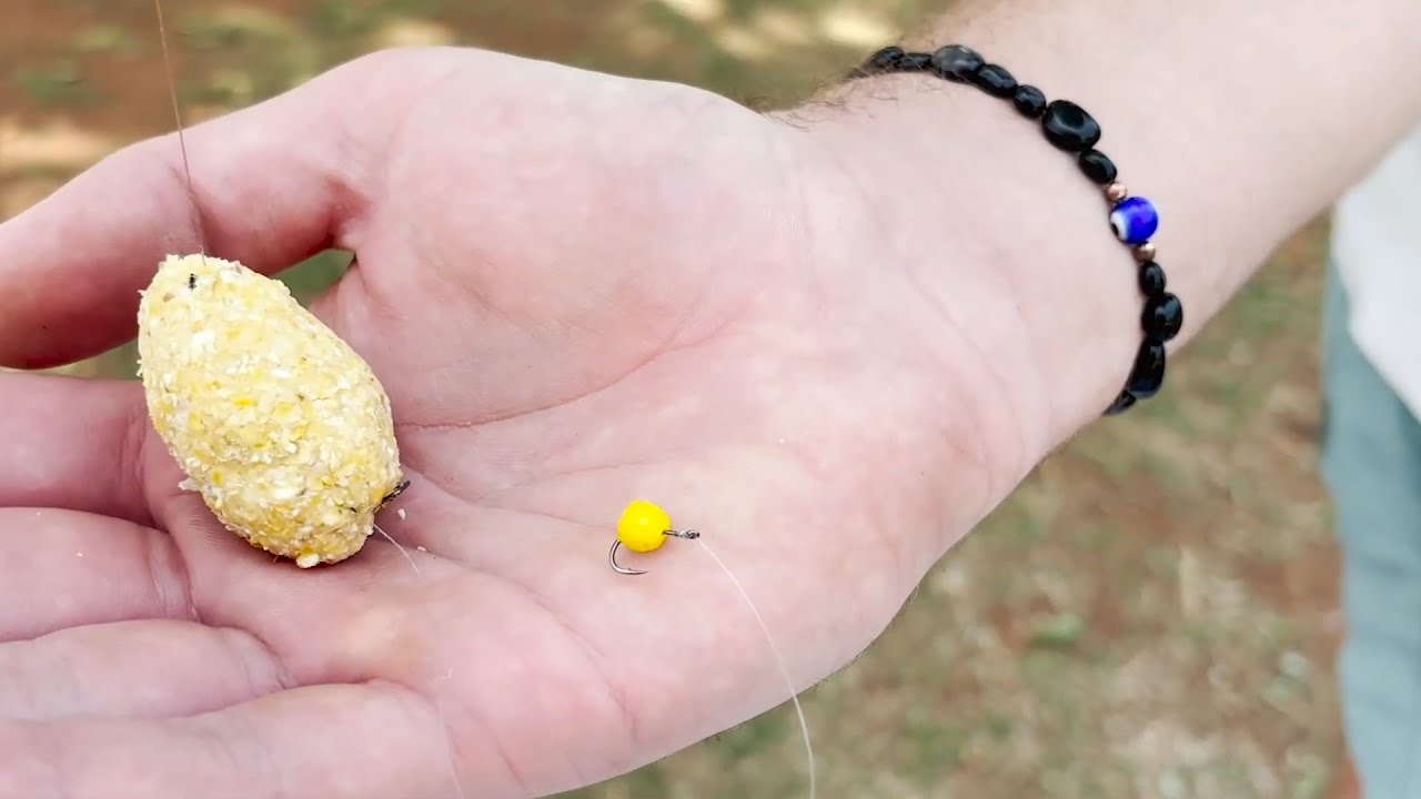 Fishing the smallest river in South Africa for big carp