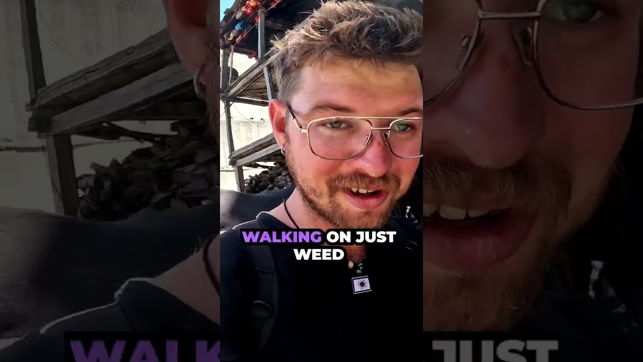 Walking on Weed Seeds in India: Crazy Cannabis Village🇮🇳