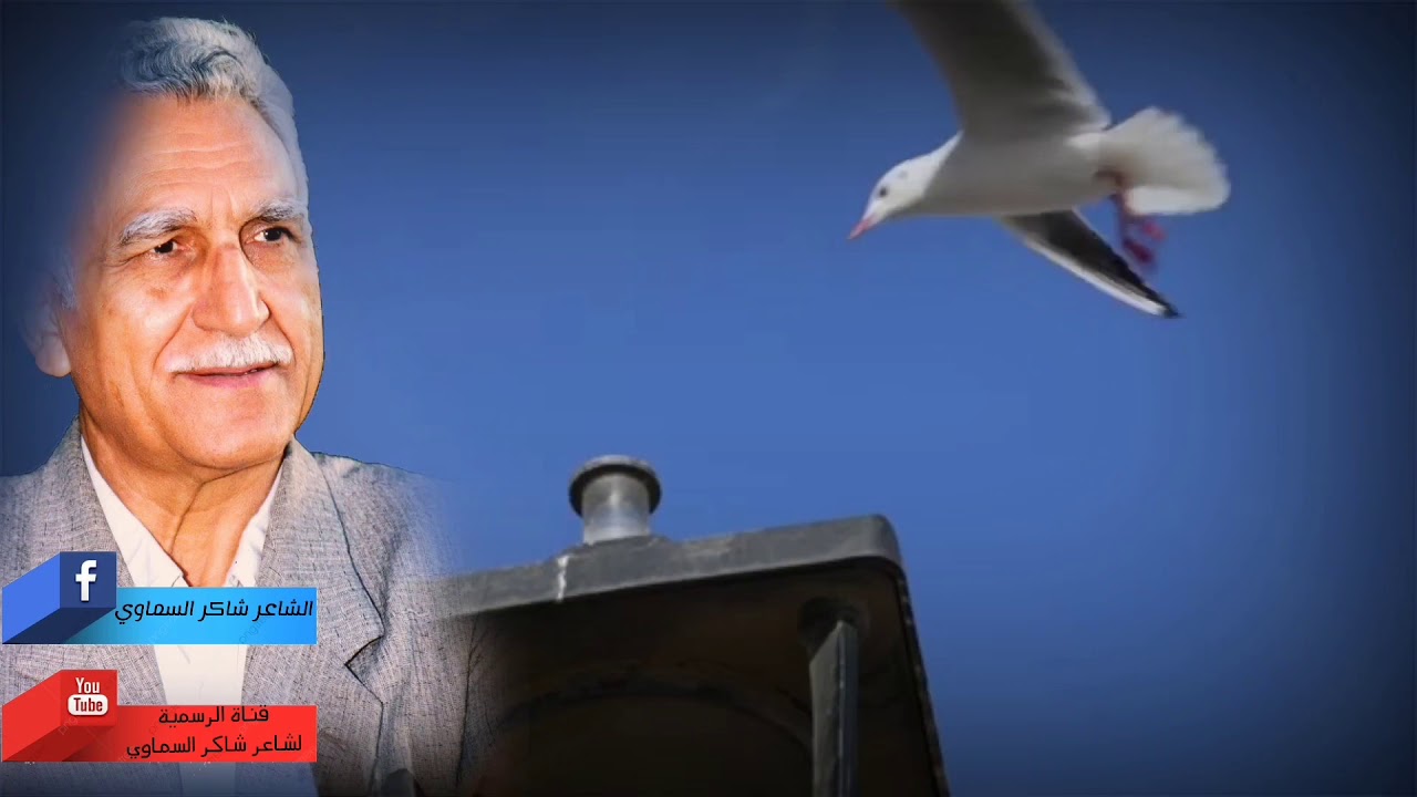 ظل غريب لشاكر شاكر السماوي بصوت علي المحنة  👇🏻