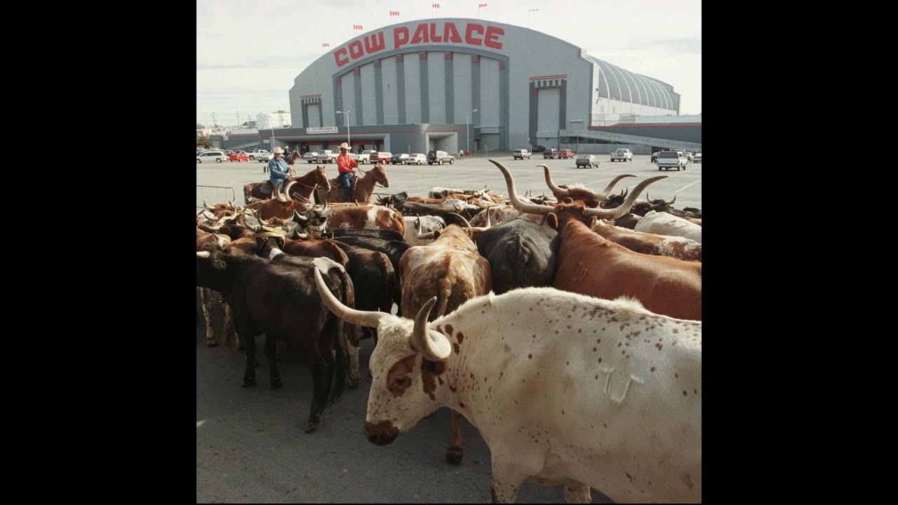 A Closer Look at The Cow Palace