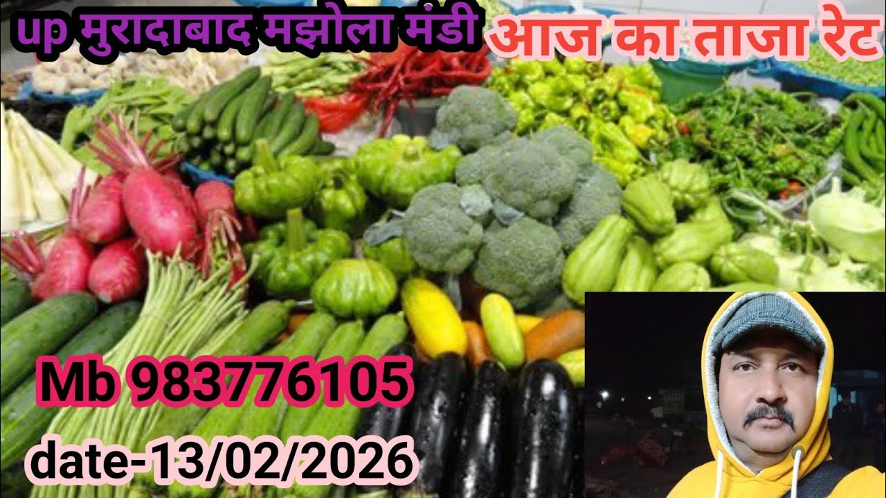 Upमुरादाबाद मझोला मंडी आज का रेट🍅🍅 🍆🍆🥦🥦🫑🫑🫑🫑🧄🧄🧄🧄🧄🧄🌽🌽 13/02/2026