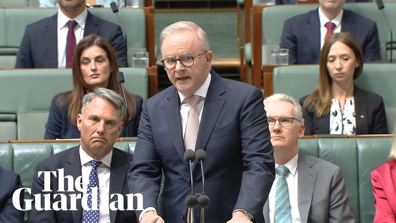 'Turn the temperature down': Albanese defends invitation to Herzog after protests