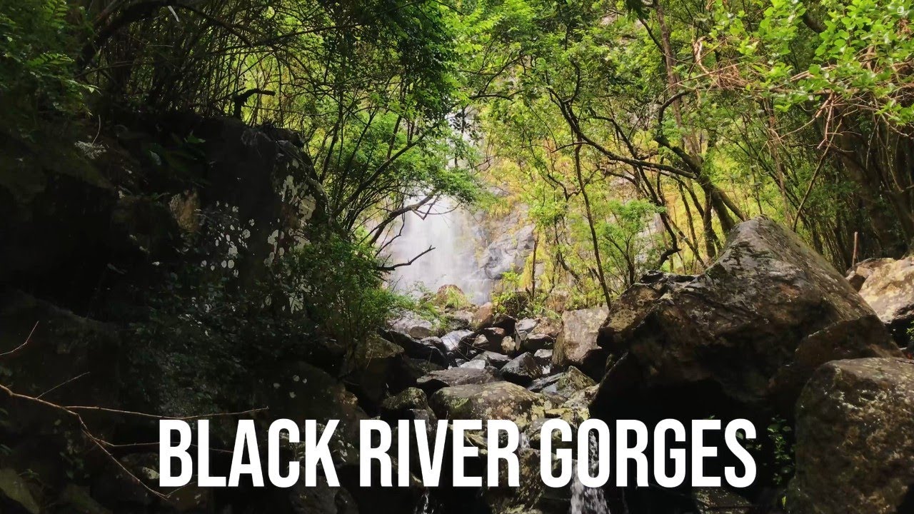 POV: Black River Gorges National Park | Mauritius 🇲🇺