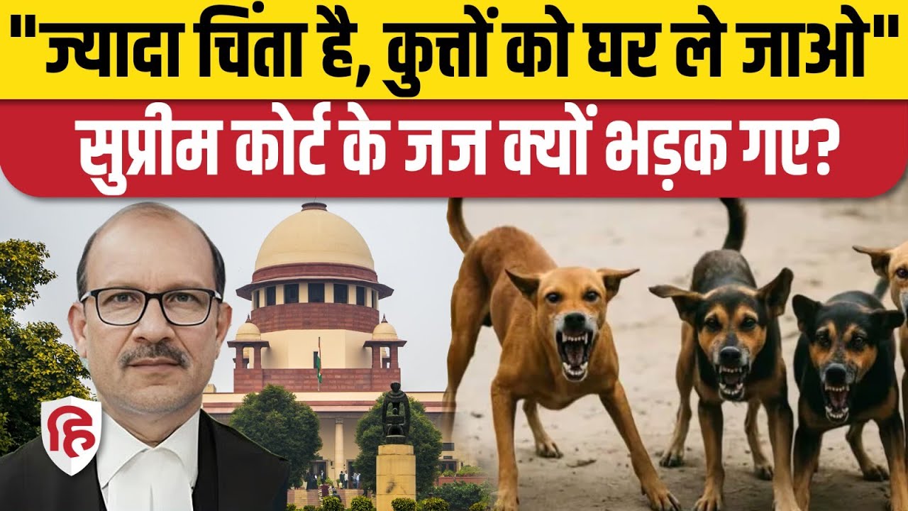 Supreme Court On Stray Dogs: आवारा कुत्तों को लेकर कोर्ट Dog Lovers पर भड़का | Dogs Attack
