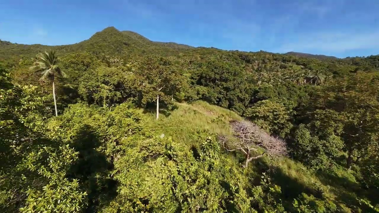 10 rai. Land for the rehabilitation center.