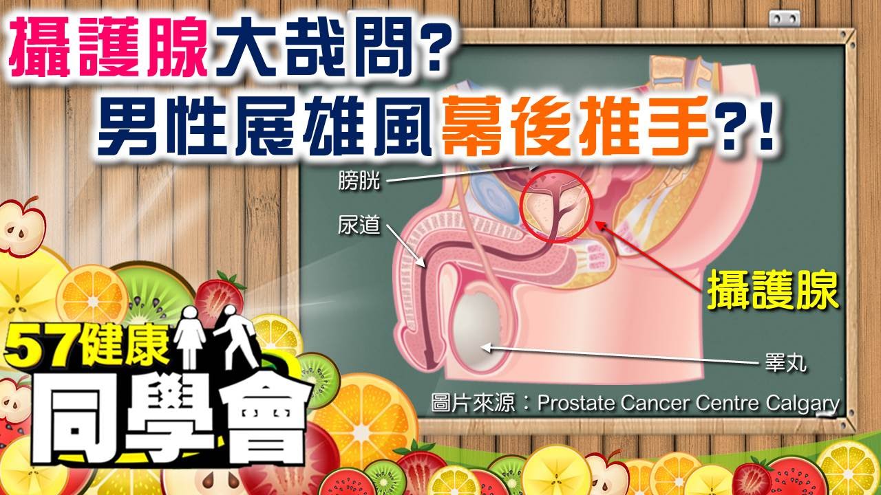 攝護腺大哉問？男性展雄風幕後推手？！【57健康同學會】第001集 -2010年