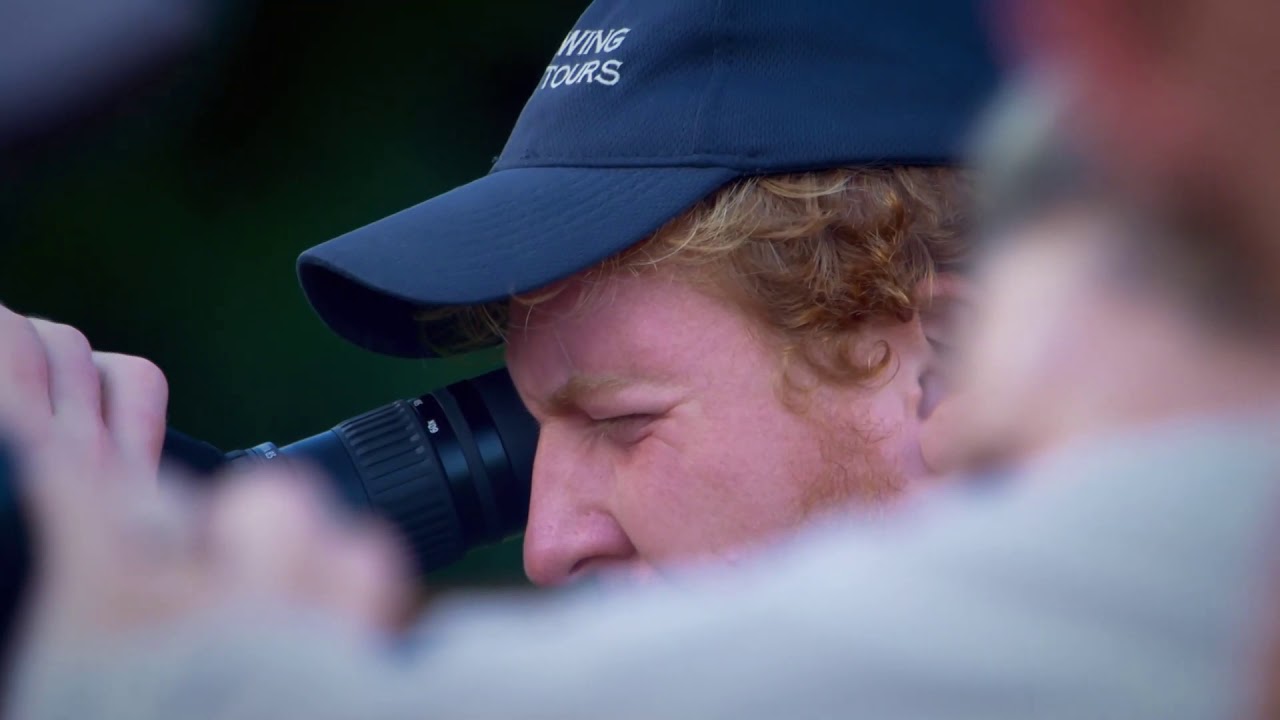 Birdwatching in Peru