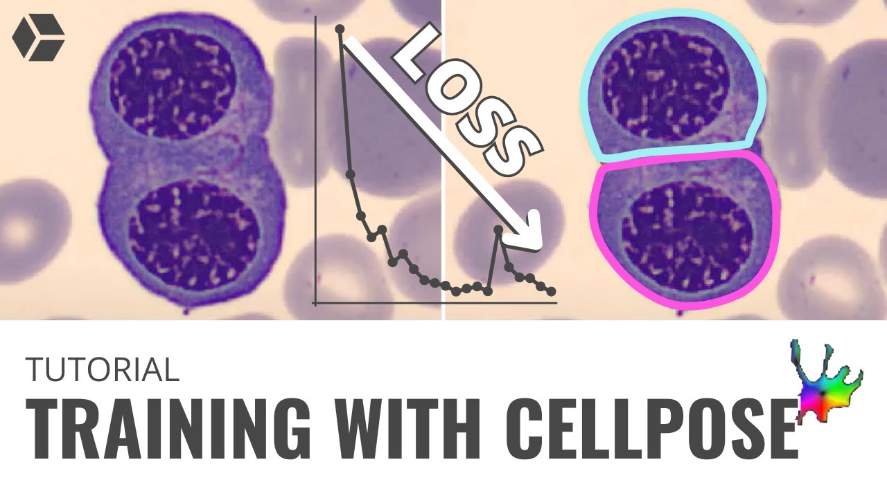 Training with Cellpose Models | Image-Pro AI Deep Learning