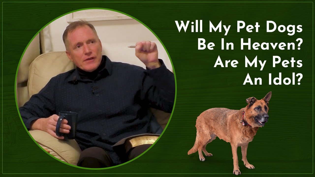Will My Pet Dogs Be In Heaven? Are My Pets An Idol? - Ask Pastor Tim