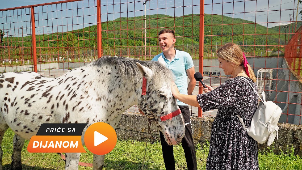 IMAO NAJLJEPŠI PAR KONJA! Zbog njih ne napušta Bosnu