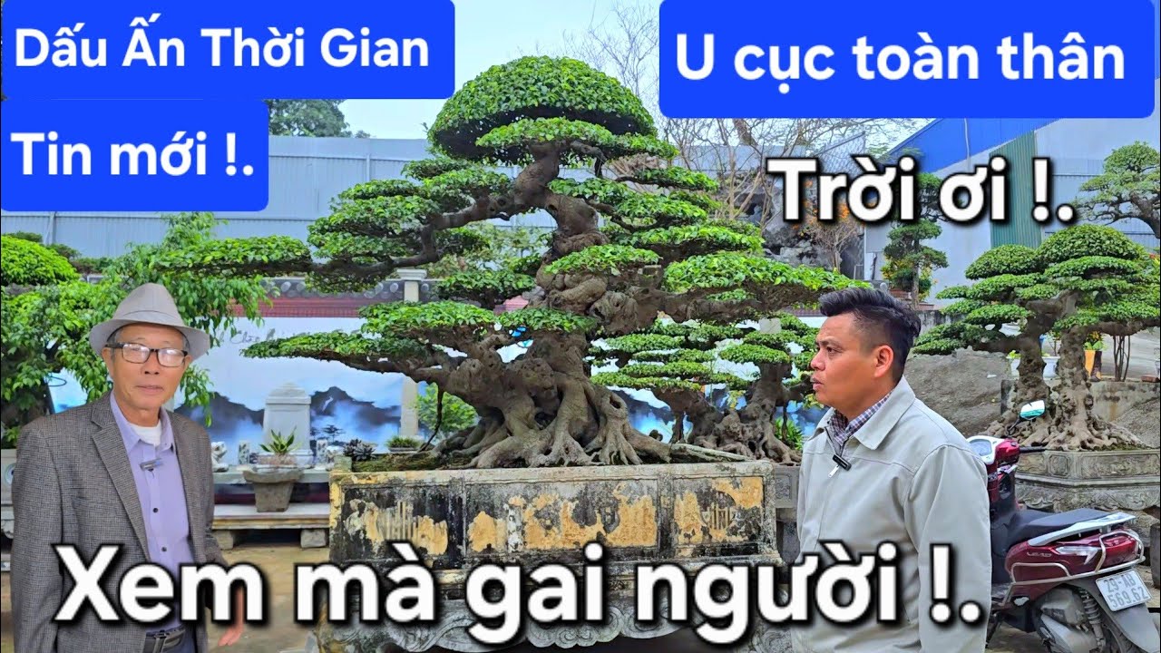 Xem mà gai người !. 
