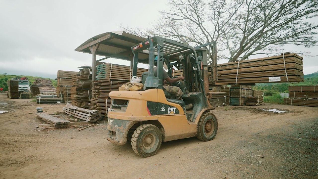 Le groupement des forestiers cal&eacute;doniens