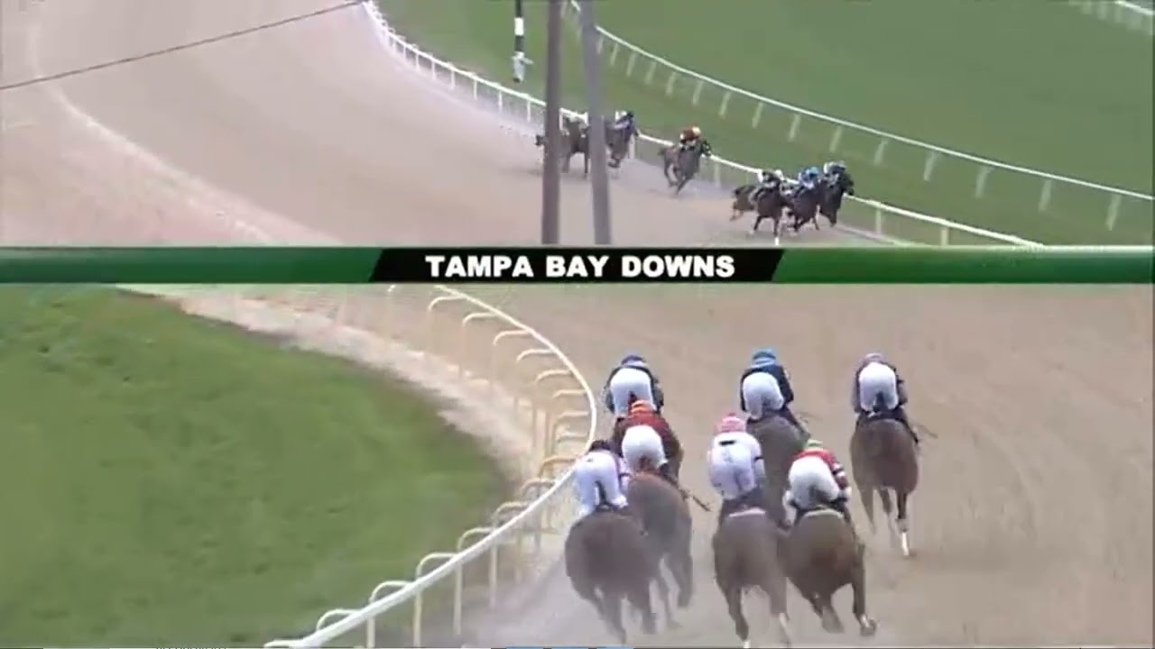 R5  Tampa Bay Downs 08 Mar 2026
