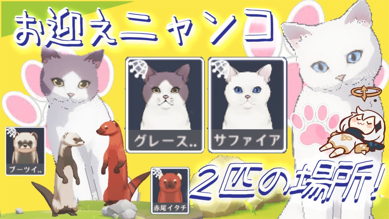 【原神】四方網で捕まえられるレア猫２匹！/小動物・数種