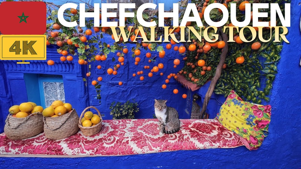 【4K】🇲🇦Chefchaouen Walking Tour from Fez - The blue city with cats🩵🐈