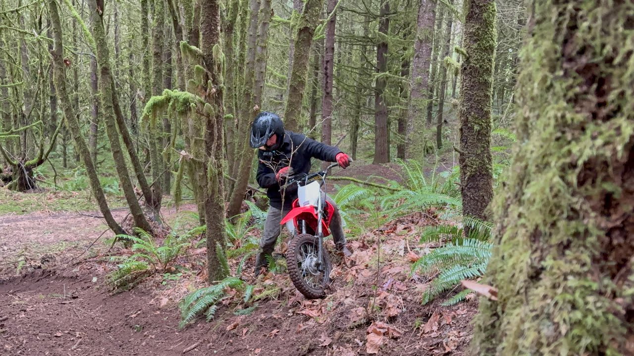 Crf110 exploring ￼