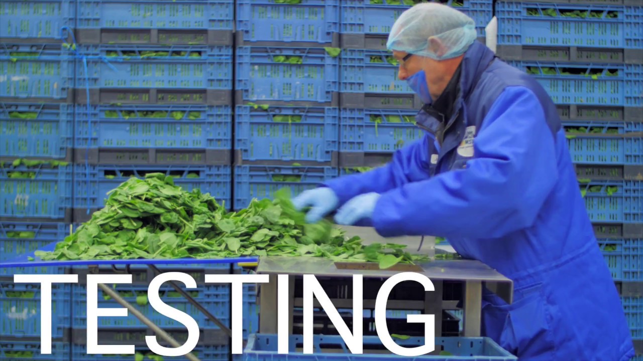 Heemskerk fresh & easy process