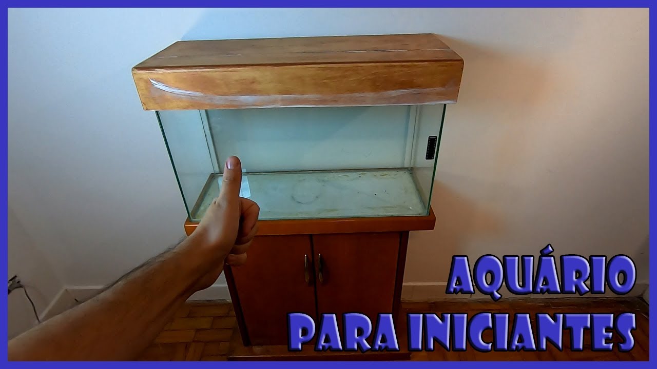 Pegamos coisas de casa e montamos um aquário (PARTE 1 DE 6 - O AQUÁRIO)