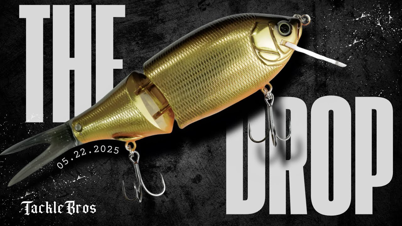 The Drop | Kaesu, Eisvogel, Fieldside & More!