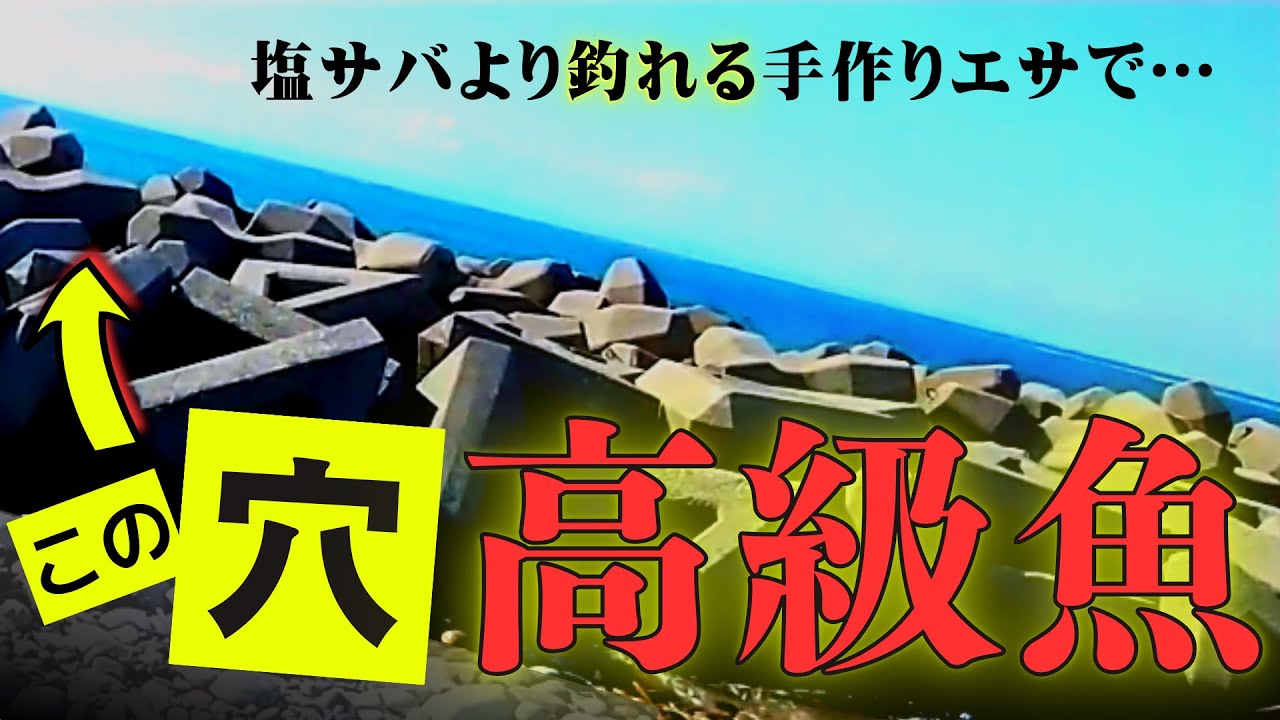 【穴釣り】塩サバより釣れる手作りエサは〇〇だった！見た目はグロいが高級魚！ギンポが入れ食いしちゃうテトラの隙間が凄い！