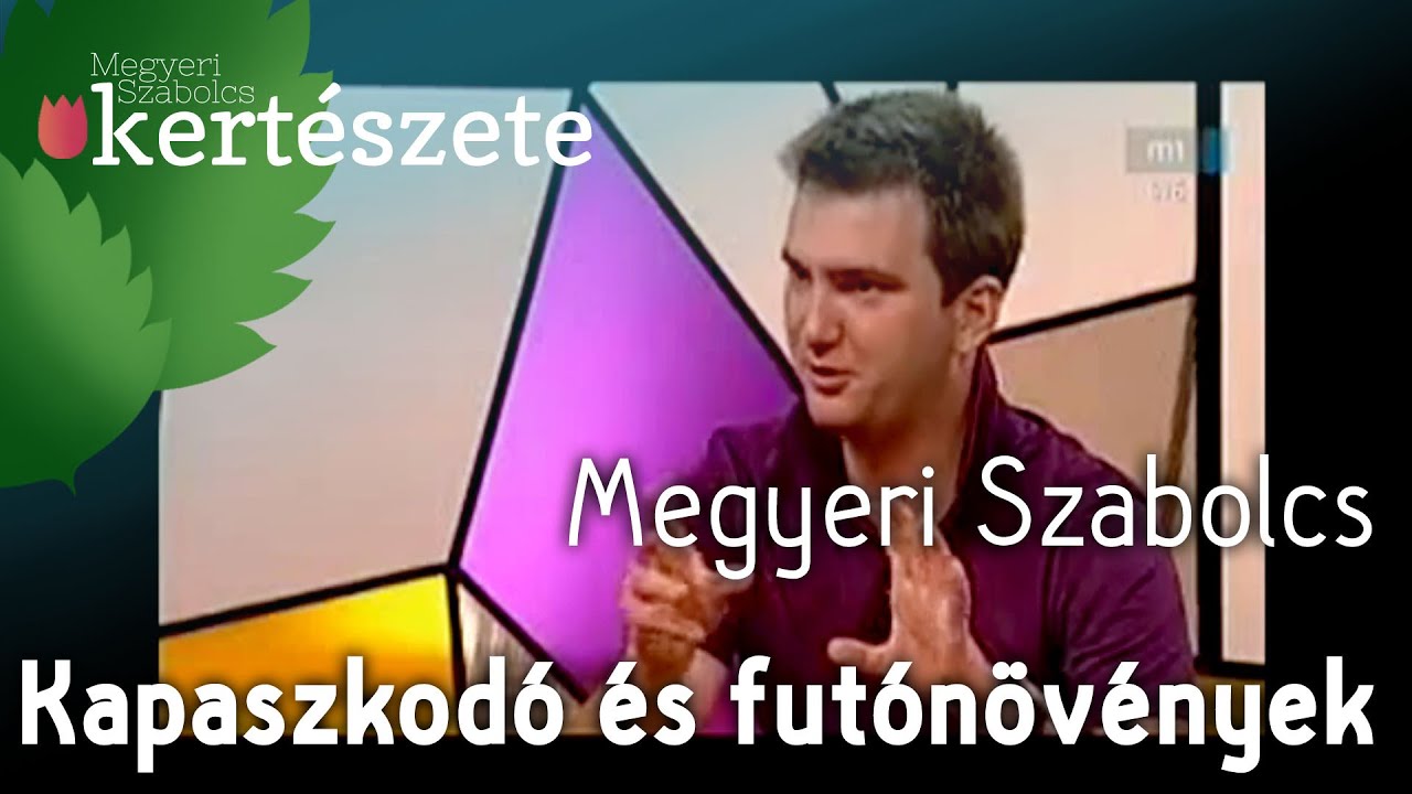 Kapaszkodó és futónövények - Megyeri Szabolcs Kertészet Budapest