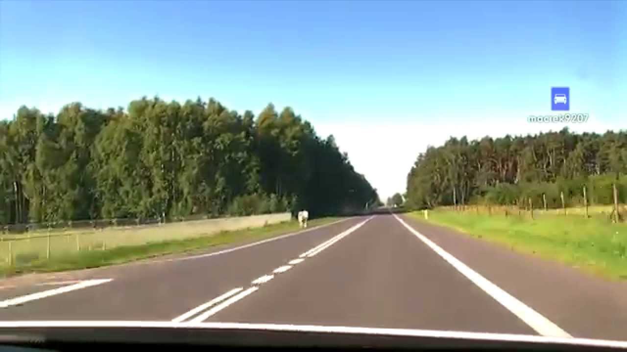 DK8 Jeżewo - Zambrów (2011)