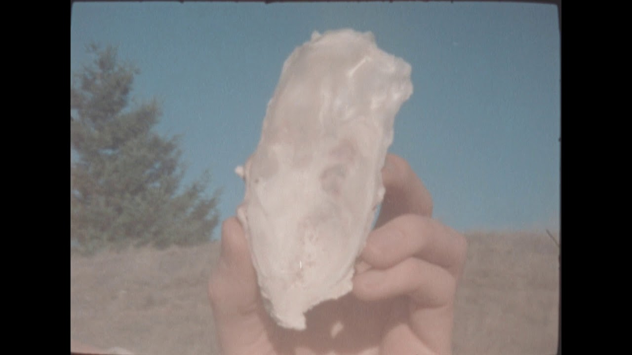 Bonny Doon - Long Wave (Official Music Video)