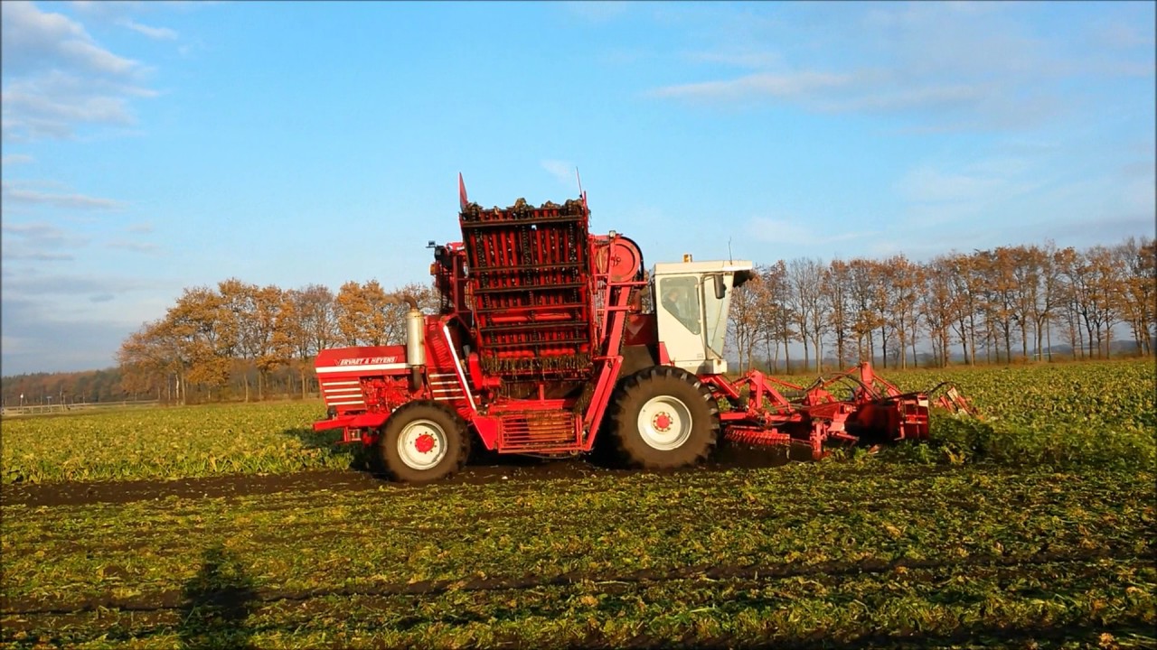 Bieten rooien met Vervaet&Heyens 12 T
