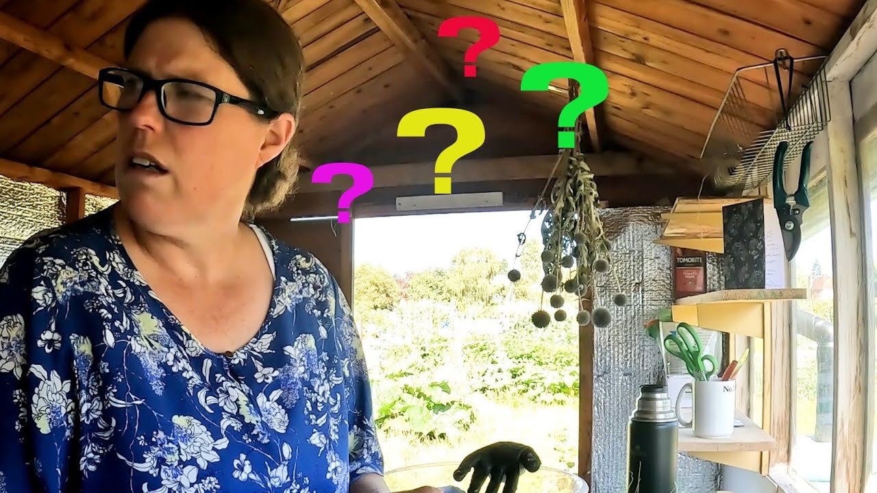 Mysterious noises, repotting & checking the paper mache on the shed | Aug '23 | Allotment Updates