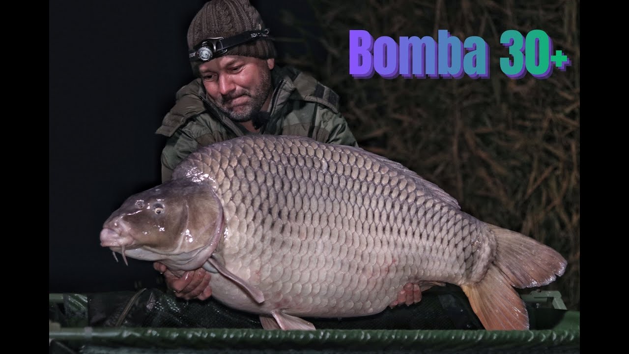 Az eddigi legnagyobb pontyom! 30+🎣🐟