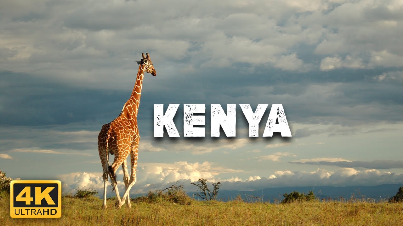 Relaxing Timelapse and Aerial View, Incredible KENYA Landscapes, Music Kenya .4K