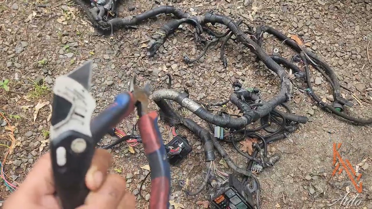 LS Swapping my 1996 Caprice WX3 pt 2. Wiring harness #Brunhilda #LSSwapTheWorld #KMGAuto #CeVille