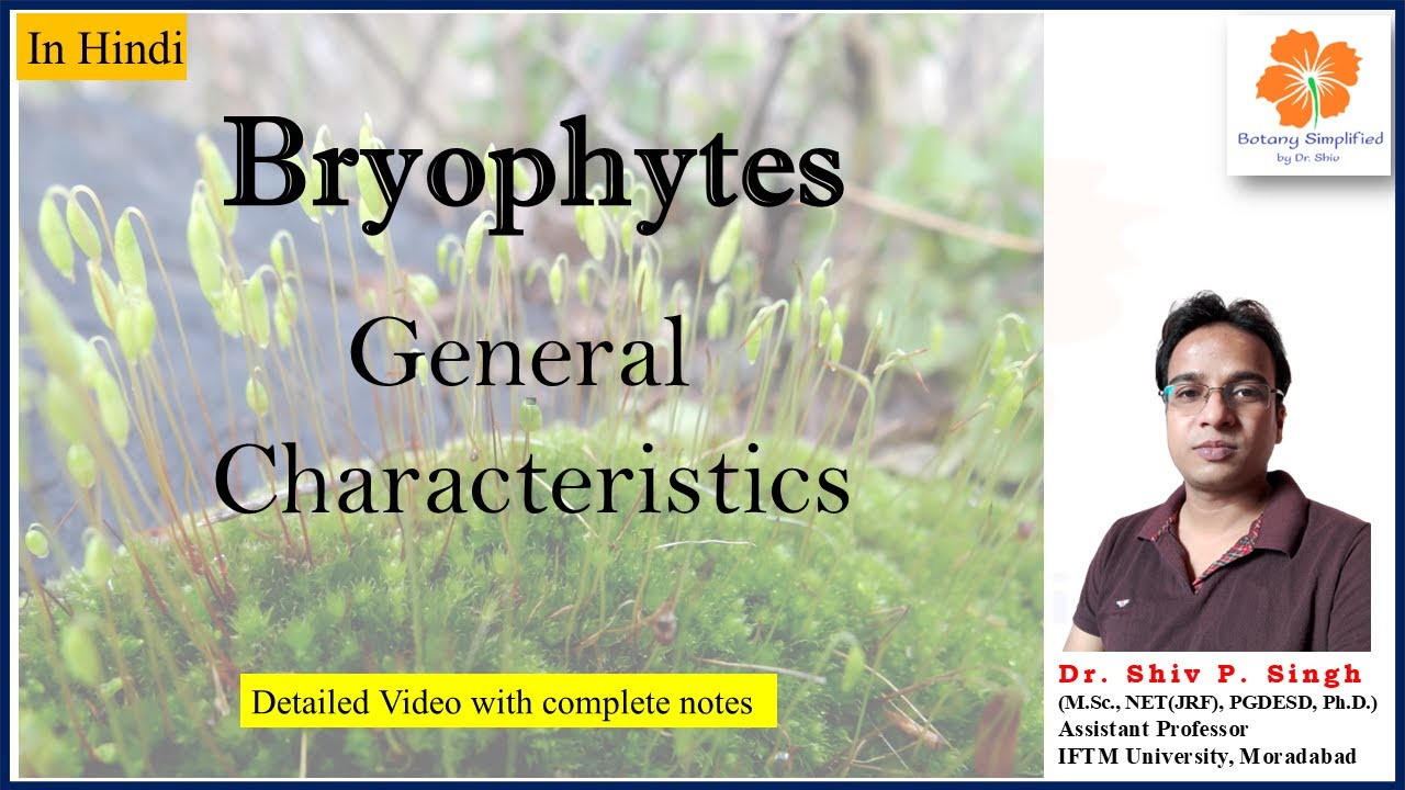 Bryophytes General Characters | #Bryophytes