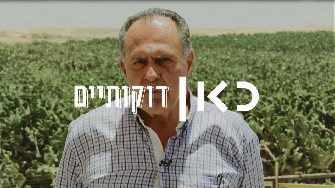 דוקותיים | איש הסברס