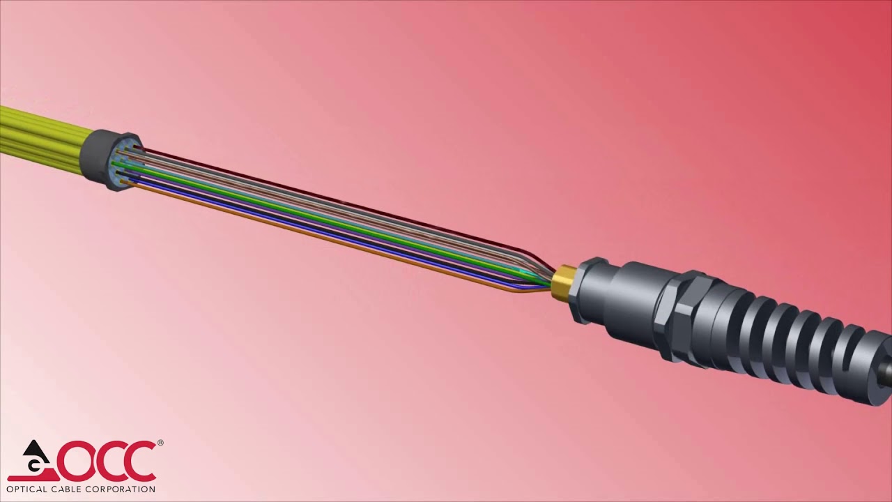 Forge Fan-Out™ Kit