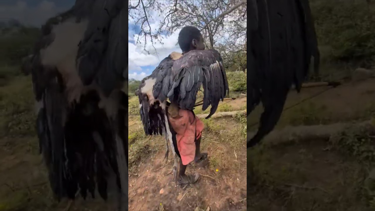 Hadzabe tribe hunters Catch big  marabou #TribalTaste #Hadzabe #Bushmeat #africa #animals #tribal