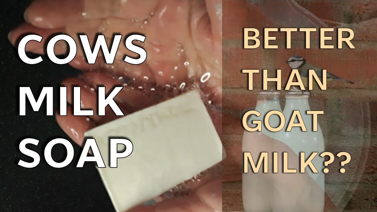 Milk Soap  - Is Cow's Milk Just As Good As Goats? What Does It Do Anyway? Let's Find Out!