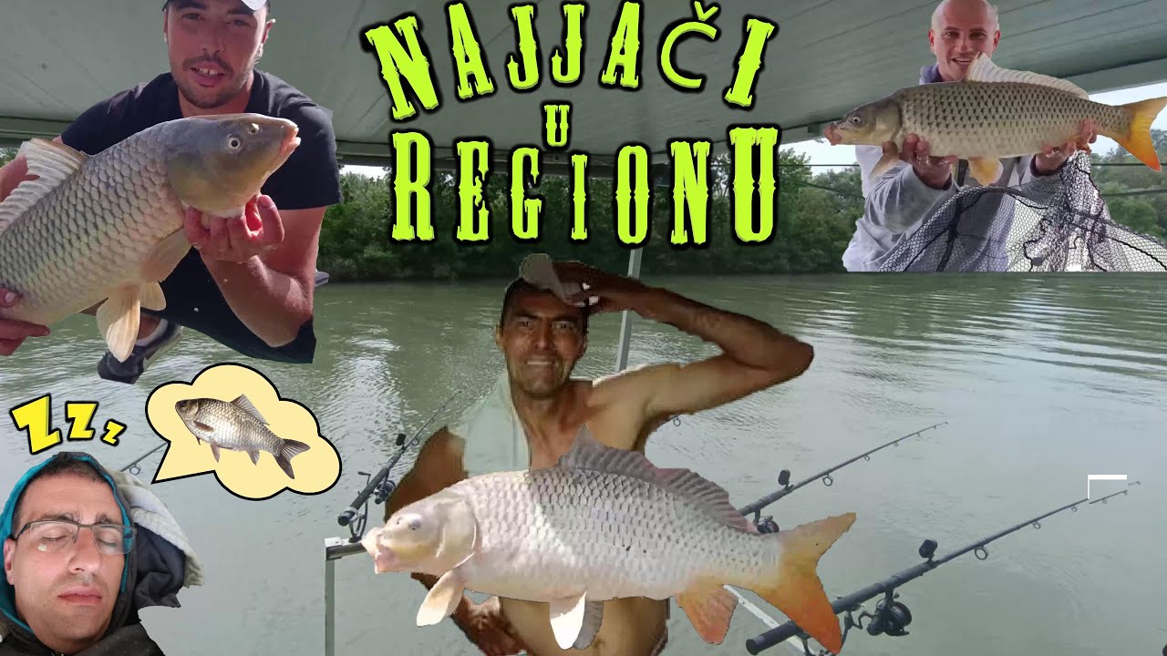 PROFESIONALNI ŠARANSKI RIBOLOV - NEXT LEVEL - PECANJE SA KATAMARANA 2024*carp fishing on wild river*