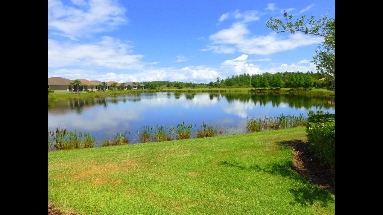 2447 Palm Tree Drive, Kissimmee, FL++SOLD by BORCHINI REALTY++Solivita 55+ Community