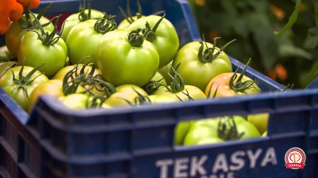 TEKASYA FRESH FRUIT&VEGETABLES COMPANY