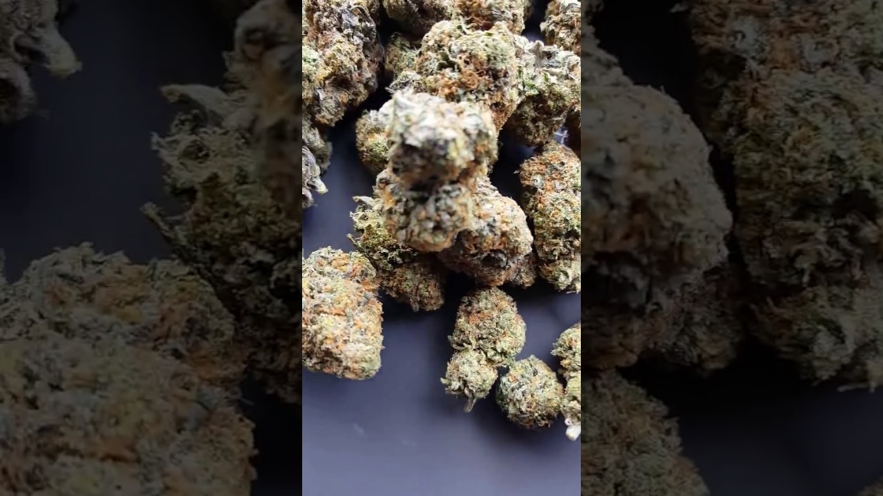 thin mints cookies cannabis