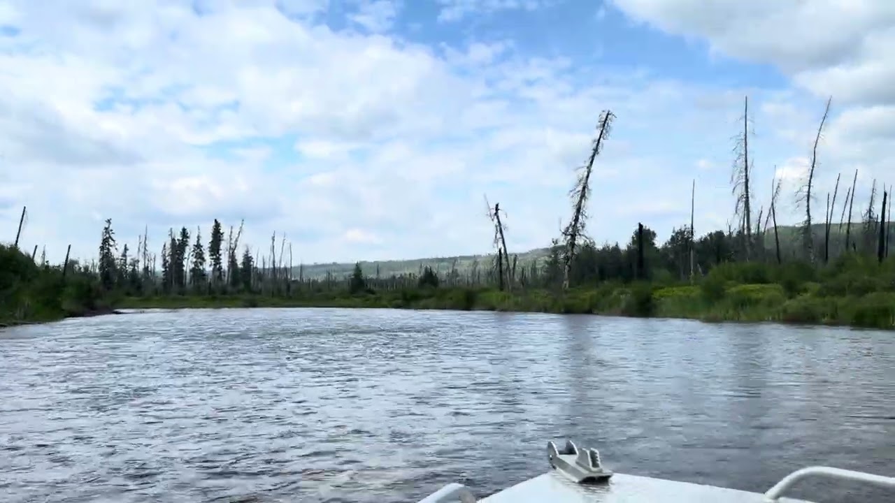 Clearwater River Wood Buffalo 🦬 2023