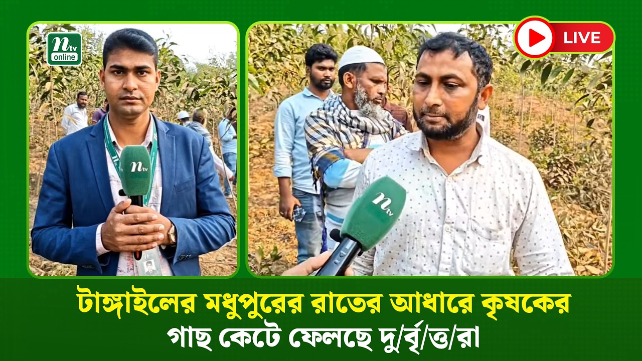 🔴LIVE : টাঙ্গাইলের মধুপুরের রাতের আধারে কৃষকের গাছ কেটে ফেলছে দু/র্বৃ/ত্ত/রা