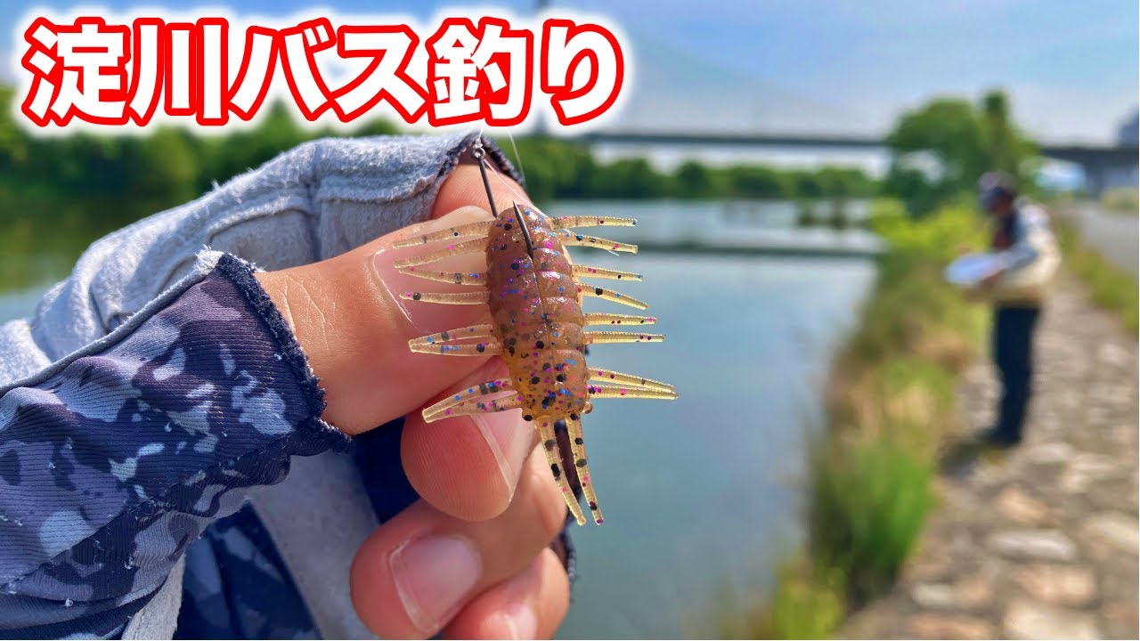 久しぶりの淀川の城北ワンドであっさりとバスが釣れてしまったw 車中泊釣り旅