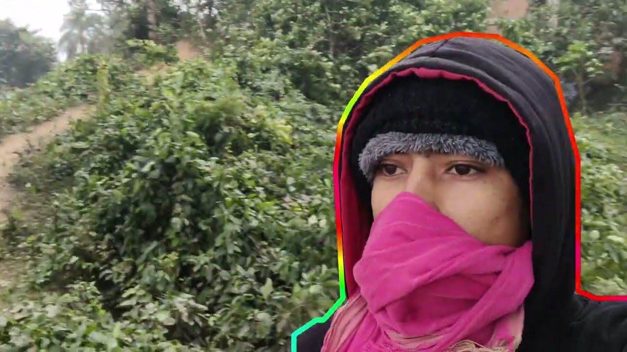 पीर पहाड़ और उसके सुंदर दृश्य यह नहीं दिखे तो क्या देखा 🍁 🍁 😍 🥰 🥰 🥰 😍 😊👀👀✅✅