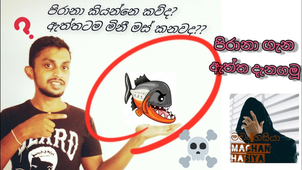 piranha kiyanne kauda ? Piranha gana siyaluma vishara