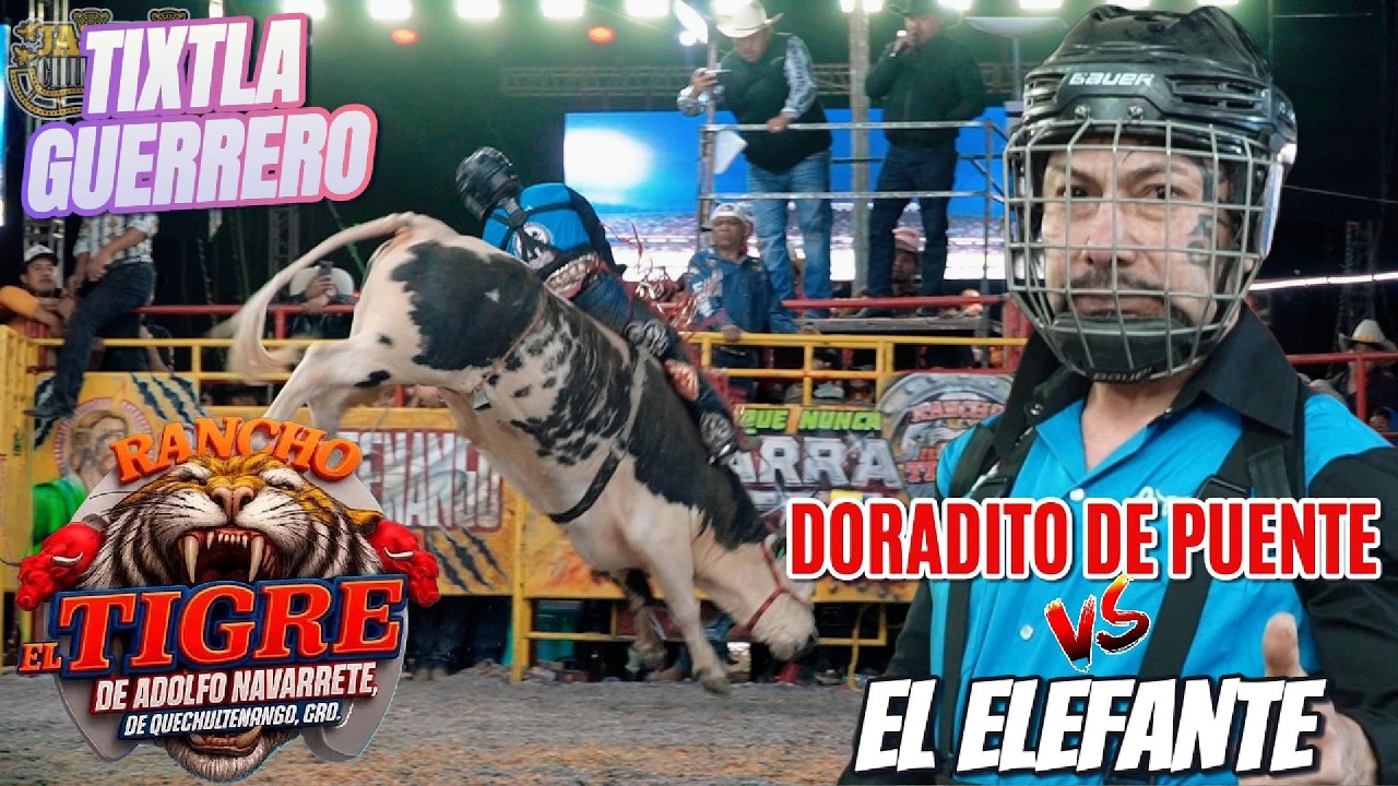 SIGUE DANDO ESPECTACULO EL ELEFANTE | LA ULTIMA JUGADA DEL RESORTE CON RANCHO EL TIGRE ..